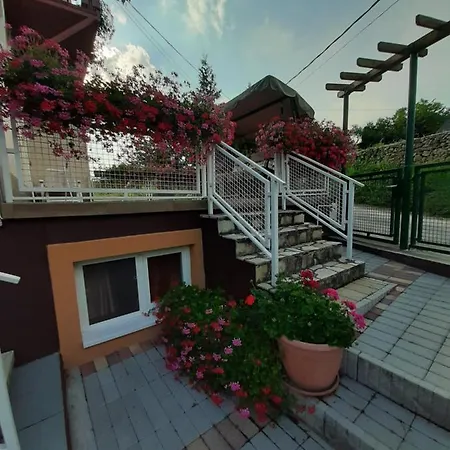 Rozsakert Vendeghaz 住宿加早餐酒店 *