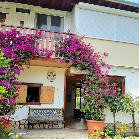 Rozsakert Vendeghaz * 西格利盖特