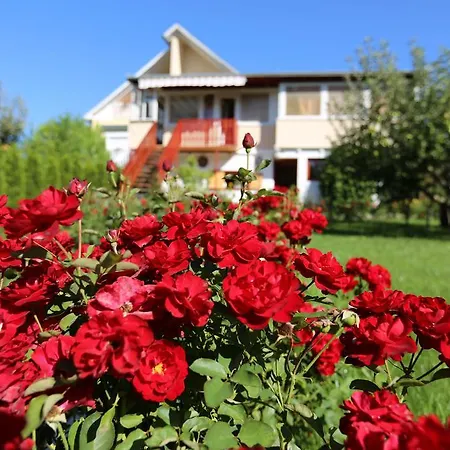 Bed & Breakfast Rozsakert Vendeghaz *