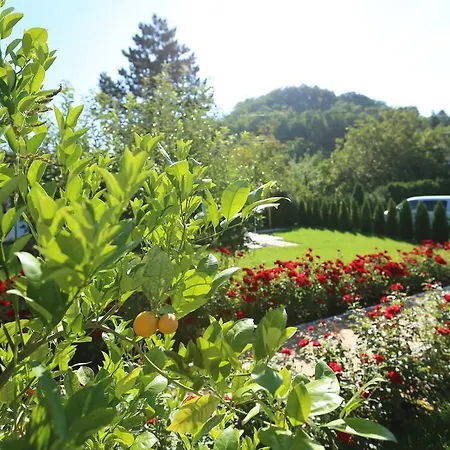 Rozsakert Vendeghaz 西格利盖特