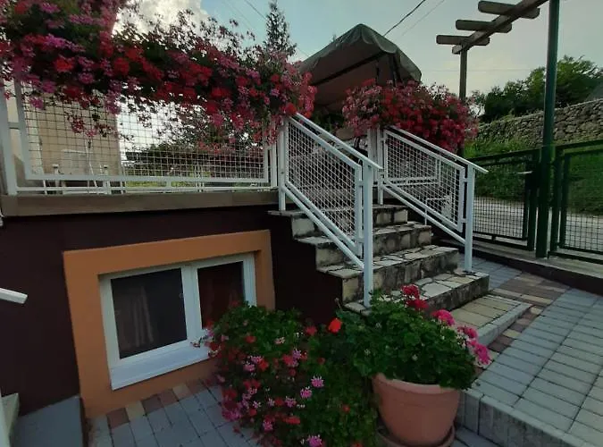 Rozsakert Vendeghaz Bed & Breakfast *